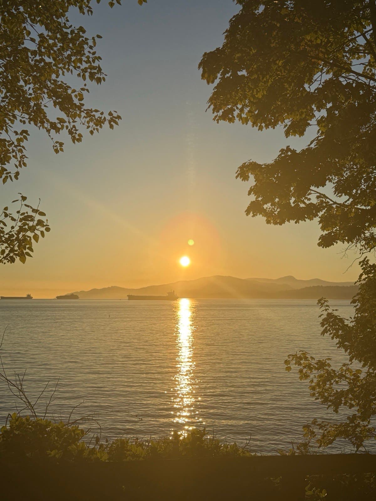 Sunset over the bay with ships at anchor