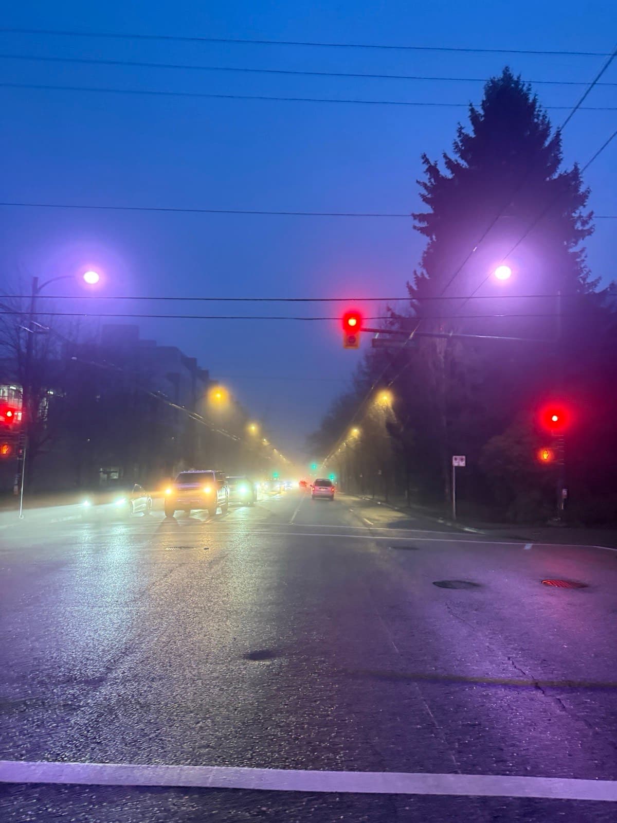 Traffic lights and street lamps on a foggy street at dusk